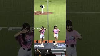 【PREMIER12 STARS】#千紘 #希美 #KAHO #各務礼美奈 #十元 日本VS韓国@台北ドーム20241115 #台湾チア #cheerdance #cheerleading #啦啦隊