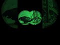 BINOCULAR NIGHT VISION| TARGETING ROOSTER AND KITTEN #shorts