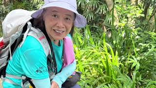 2025.06.22群英登山隊 台北大縱走第六段 象山  象山步道 遠眺台北101 糶米古道 拳山古道 妙高台 木柵捷運站