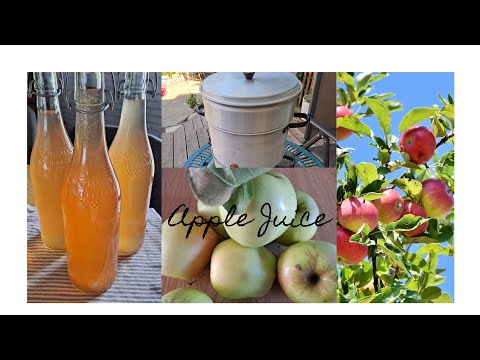 Apfelsaft 🍎 „Frischer Apfelsaft selber machen: Einfaches Rezept zum Entsaften und Haltbarmachen“