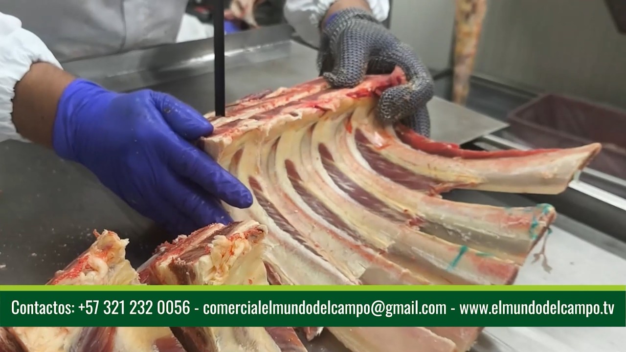 21 MAR   CAP 1   AGROINDUSTRIA DE LA CARNE   GANADERÍA Y CARNES FINAS HYM   ARAUCA   ARAUCA