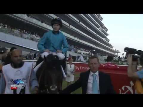 28.03.2015 Meydan (Dubai/UAE) 3.Race Dubai Gold Cup - Group II 3.200 m