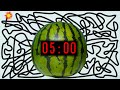 5 Minute Timer Bomb [WATERMELON] 🍉