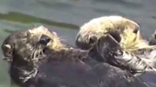 Cover -  Angèle  // Les Amoureux Des Bancs publics