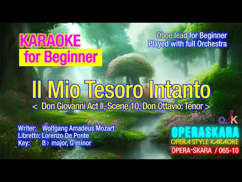W. A. Mozart, Don Giovanni, Il mio tesoro intanto Karaoke for Beginner/lead by Oboe/full Orchestra