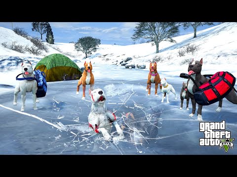 PİTBULL AİLESİ ŞEYTAN PİTBULL CİNNET'İ BUZUN ALTINDAN ÇIKARIYOR!  - GTA 5