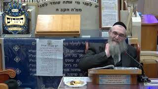 הרב יהושע ויזגן מסכת חולין דף ס עמוד א' (בית הכנסת מוסאיוף) - התמונה מוצגת ישירות מתוך אתר האינטרנט יוטיוב. זכויות היוצרים בתמונה שייכות ליוצרה. קישור קרדיט למקור התוכן נמצא בתוך דף הסרטון