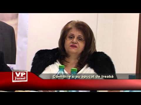 Comisiile s-au apucat de treabă