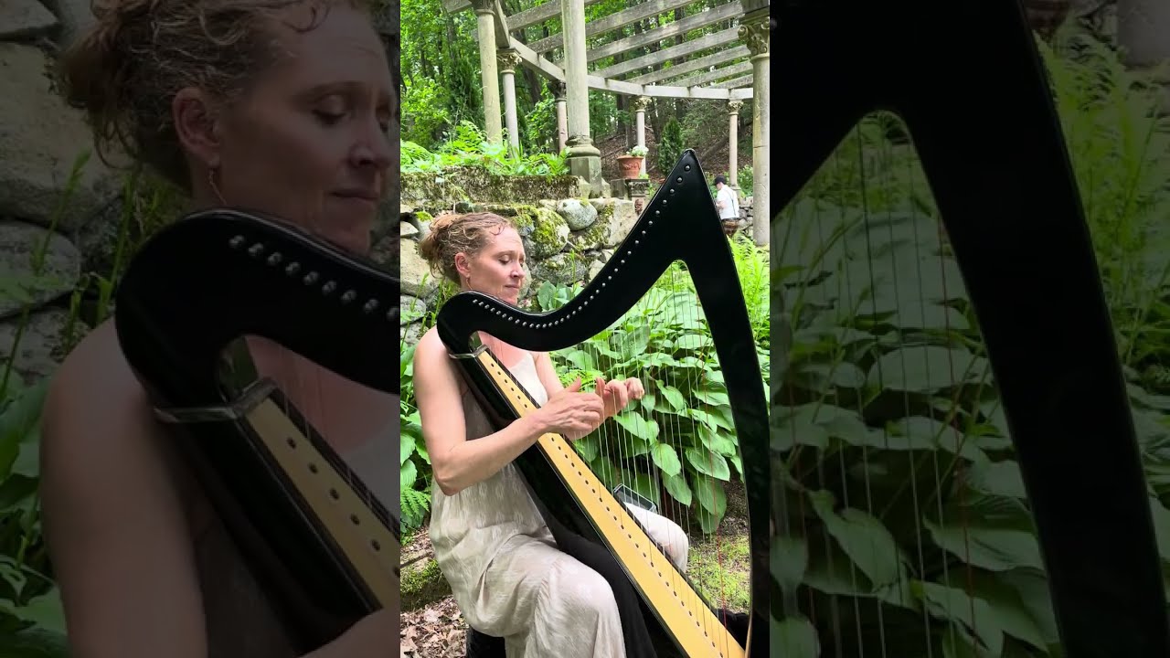 Promotional video thumbnail 4 for Shelley Otis