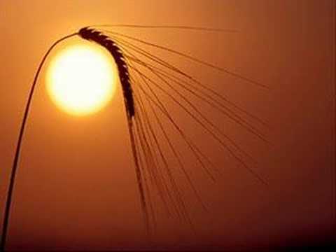 Mini Mini Bir Nihavend Pesrevi