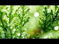 Touching Film Music ● More Than a Miracle - Vento ● Piero Piccioni (High Quality Audio)