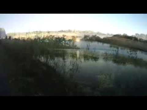 Oaks of Bethel - The Spirit Molecule DVD