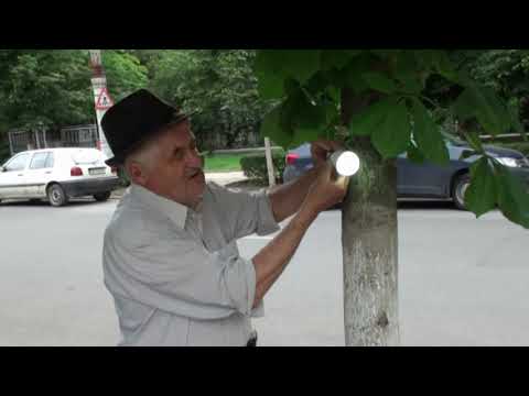 Vlad Constantin Curentul din pom demonstratie op video Liviu Minescu