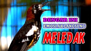 Download lagu DONGKRAK EMOSI ANIS KEMBANG, ANIS KEMBANG NGEROL ISIAN mp3