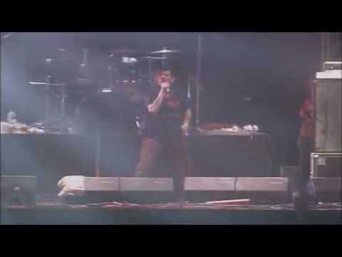 Videoclip de Lucky Man For You — La Polla Records