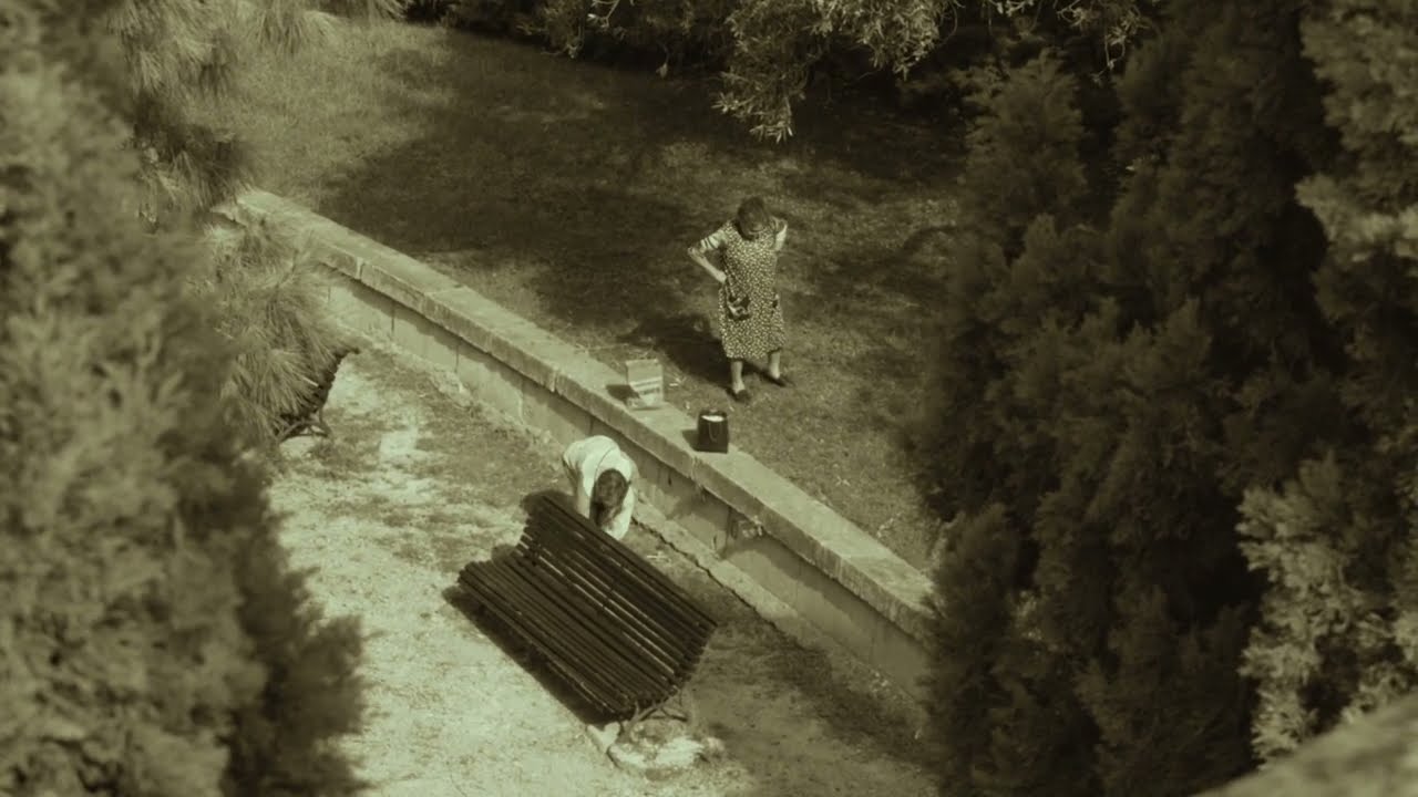 Mujeres recogiendo olivas (Guillermo Amengual, 2024)