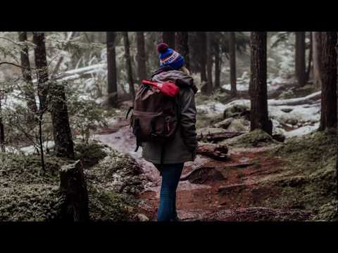 Lazarus Moment - Forevergreen