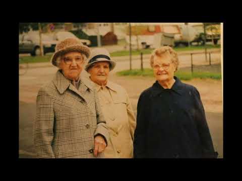 Tvíhöfði Smásálin Ástarsmásál