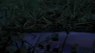 Официальный трейлер к фильму "Дракула 2000"