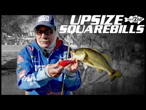 How to Fish Big Squarebill Crankbaits for Prespawn Bass