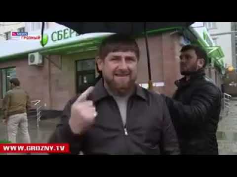 Puls4 News über Demonstration am Heldenplatz am 23.01.2016