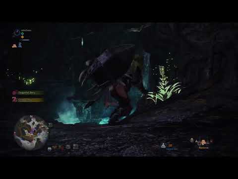 MH:World | Petricanths | Rotten Vale