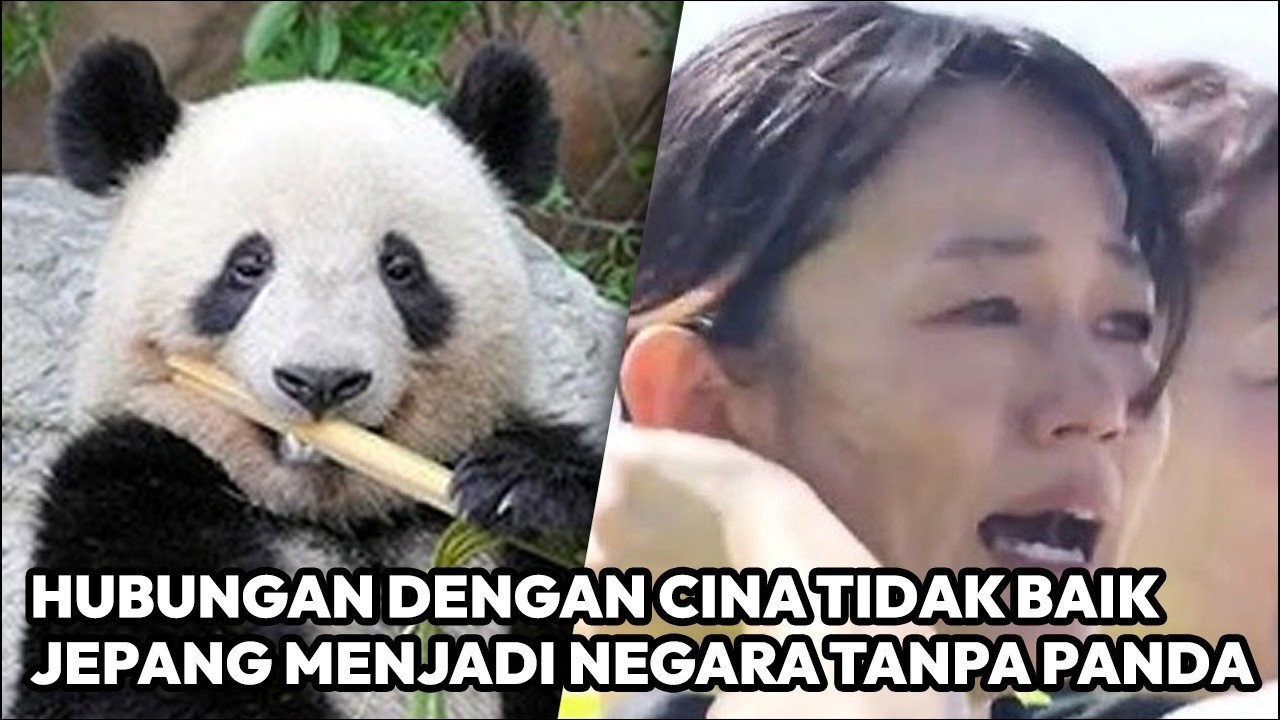 Jepang Resmi Menjadi Negara Tanpa Panda