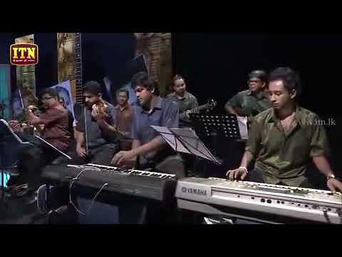 ගඟුලි වල්පොල සමඟ හෙලංග වල්පොල   ලංකාරෙන් මලක් පිපී