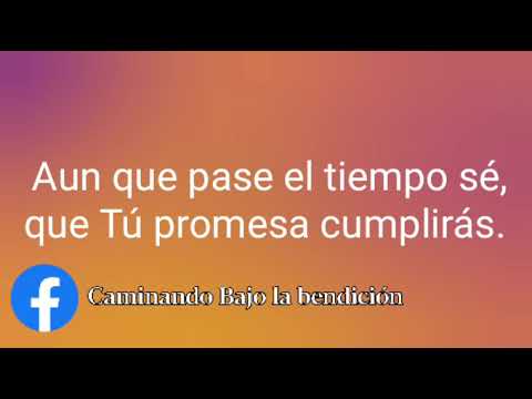 "Tus cuerdas de amor" — [Letra]