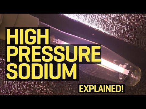 Grow Lights Explained: High Pressure Sodium (HPS)