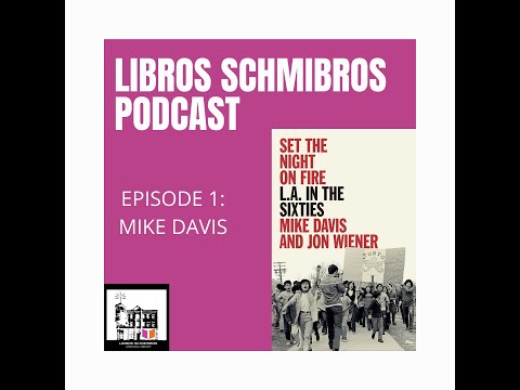 Mike Davis Interview - The Libros Schmibros