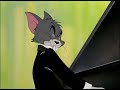 The Cat Concerto