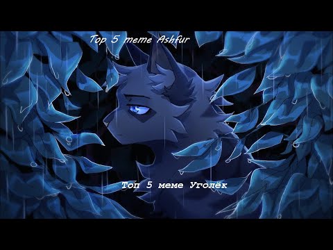 Top 5 meme Ashfur (Warriors)/Топ 5 meme Уголёк (Коты-Воители)
