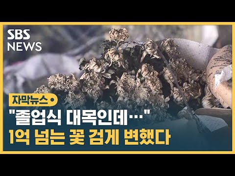 , title : '부산 화훼공판장서 화재…"꽃장사 대목 코앞인데" (자막뉴스) / SBS'