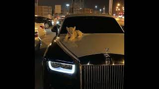 Download lagu 𝗜 𝘄𝗮𝘀 𝗻𝗲𝘃𝗲𝗿 𝘁𝗵𝗲𝗿𝗲 × 𝘄𝗼𝗼 // 𝘀𝗹𝗼𝘄𝗲𝗱 𝗮𝗻𝗱 𝗿𝗲𝘃𝗲𝗿𝗯 mp3 Download lagu 𝗜 𝘄𝗮𝘀 𝗻𝗲𝘃𝗲𝗿 𝘁𝗵𝗲𝗿𝗲 × 𝘄𝗼𝗼 // 𝘀𝗹𝗼𝘄𝗲𝗱 𝗮𝗻𝗱 𝗿𝗲𝘃𝗲𝗿𝗯 mp3