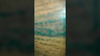 Download lagu hencet mp3