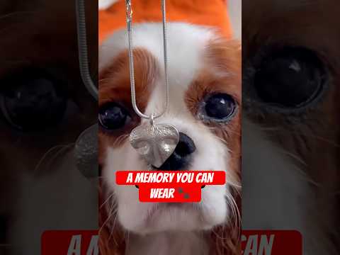 She Turned Pet Nose Prints Into Viral Jewelry 🐾