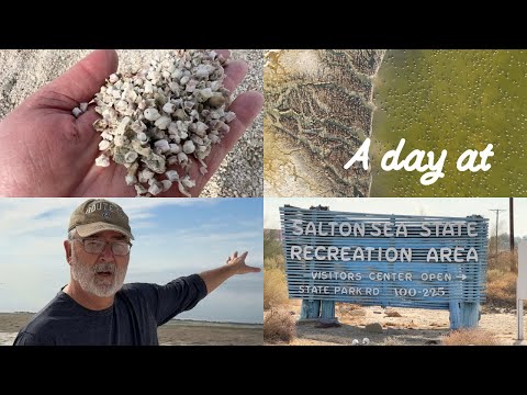 Salton Sea: The Tragic Beauty of the California Desert