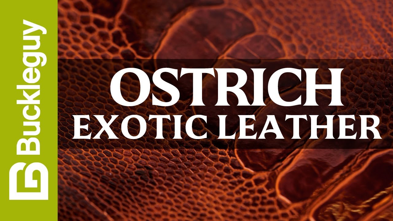 Exotic Leather, Ostrich Legs | Full Grain Leather Demo