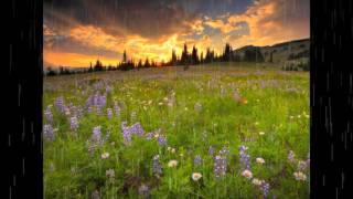 Silence Speaks- Secret Garden