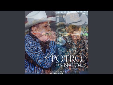 La Clave 7 (En Vivo)