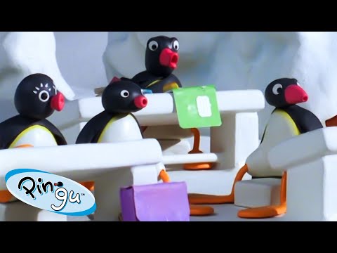 Pingu Goes Back to School 🐧 | Pingu – Official Channel | Cartoons For Kids - Kids (0-4), Kingdom Kids Zone - Pingu - Official Channel