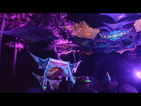 Shadow of Dark Shaman 2022