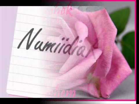 Cheb-Mootje & Manni - Zininoe  By: NumiidiaRif