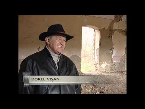 Artdelenisme cu actorul Dorel Visan