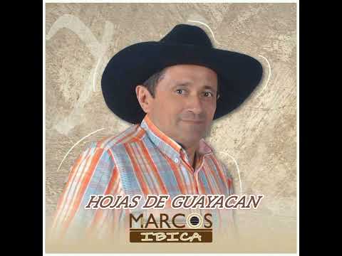 HOJAS DE GUAYACAN - MARCOS IBICA  (Audio Oficial)