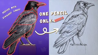 How to Draw a Raven with One Pencil | Easy Step-by-Step Guide