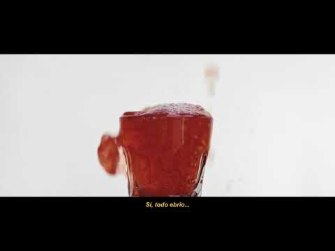 Miniatura de No Se Va