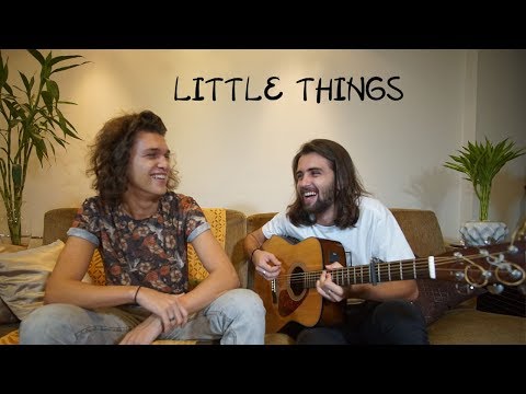 Little Things - One Direction ( Irmãos Mayer Cover )