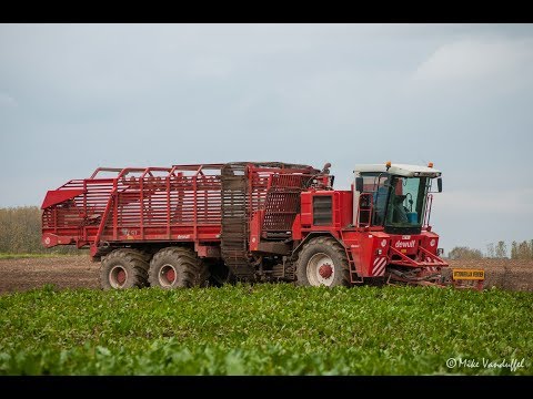 Dewulf 9150 Gilles RB410 John Deere Janssens bieten tienen Debardeuse sugar beet betteraves